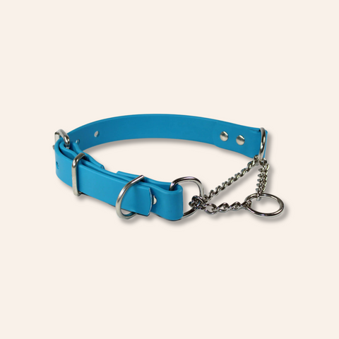 Blue Martingale Chain Dog Collar Adjustable & Waterproof