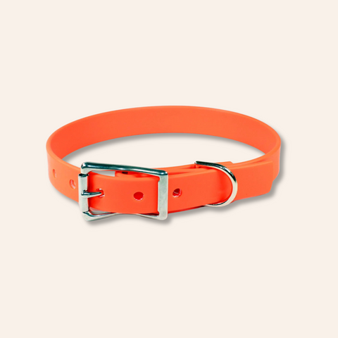 Orange Waterproof Dog Collar