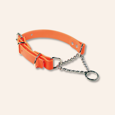 Orange Martingale Chain Dog Collar Adjustable & Waterproof