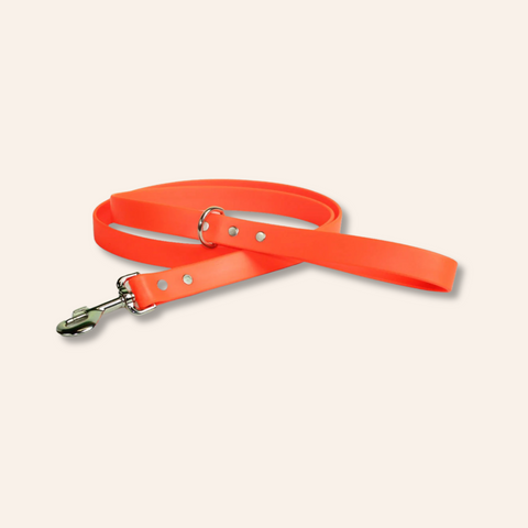 Orange Waterproof Dog Leash