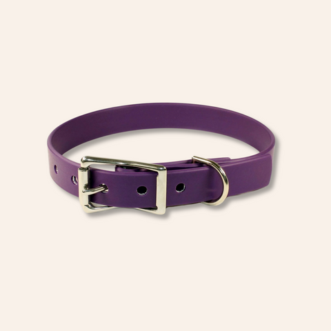 Purple Waterproof Dog Collar