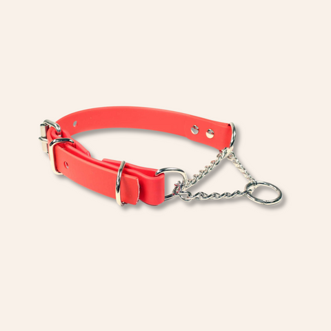 Red Martingale Chain Dog Collar Adjustable & Waterproof