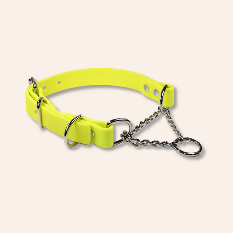 Yellow Martingale Chain Dog Collar Adjustable & Waterproof