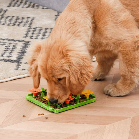 Wildflower Foraging Mat
