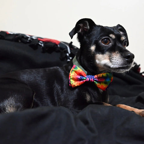 Woodstock Tie Dye Bow Tie