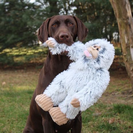 Tall Tails Yeti Plush Dog Toy